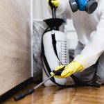 general pest control treatment gold coast brisbane