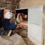 termite treatment prevention removal gold coast brisbane